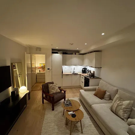 公寓 New And Downtown 特罗姆瑟